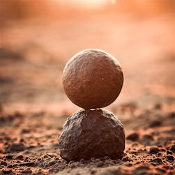 Mindfulness Experience