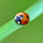 Come dentro una bolla corso mindfulness base