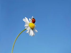 Mindfulness Morning - corso di mindfulness alla mattina