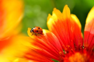 La pausa Mindfulness all'ora di pranzo