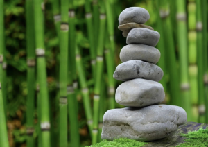 Scopri la Mindfulness